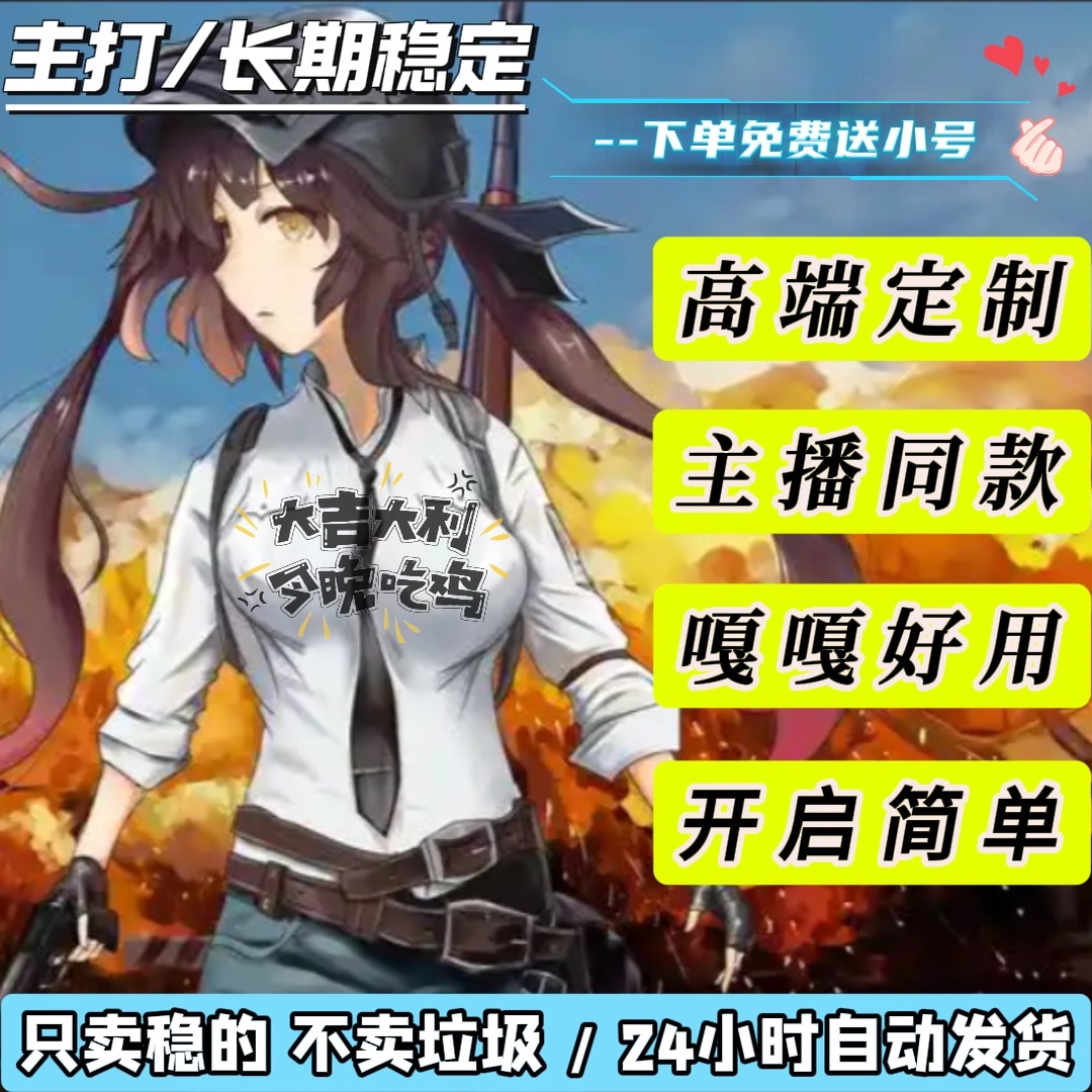绝地求生【飘雪】正常使用 拍下自动发卡